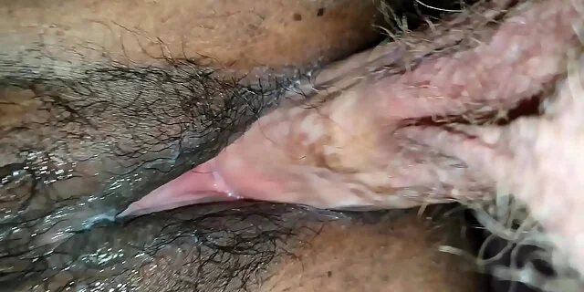 furry,indian,pussy,wet