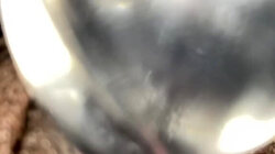 amateur,big ass,big tits,creampie,cumshot,ebony,exclusive,indian,masturbating,pretty,pussy,solo,teen,verified