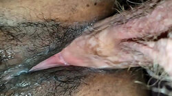furry,indian,pussy,wet,